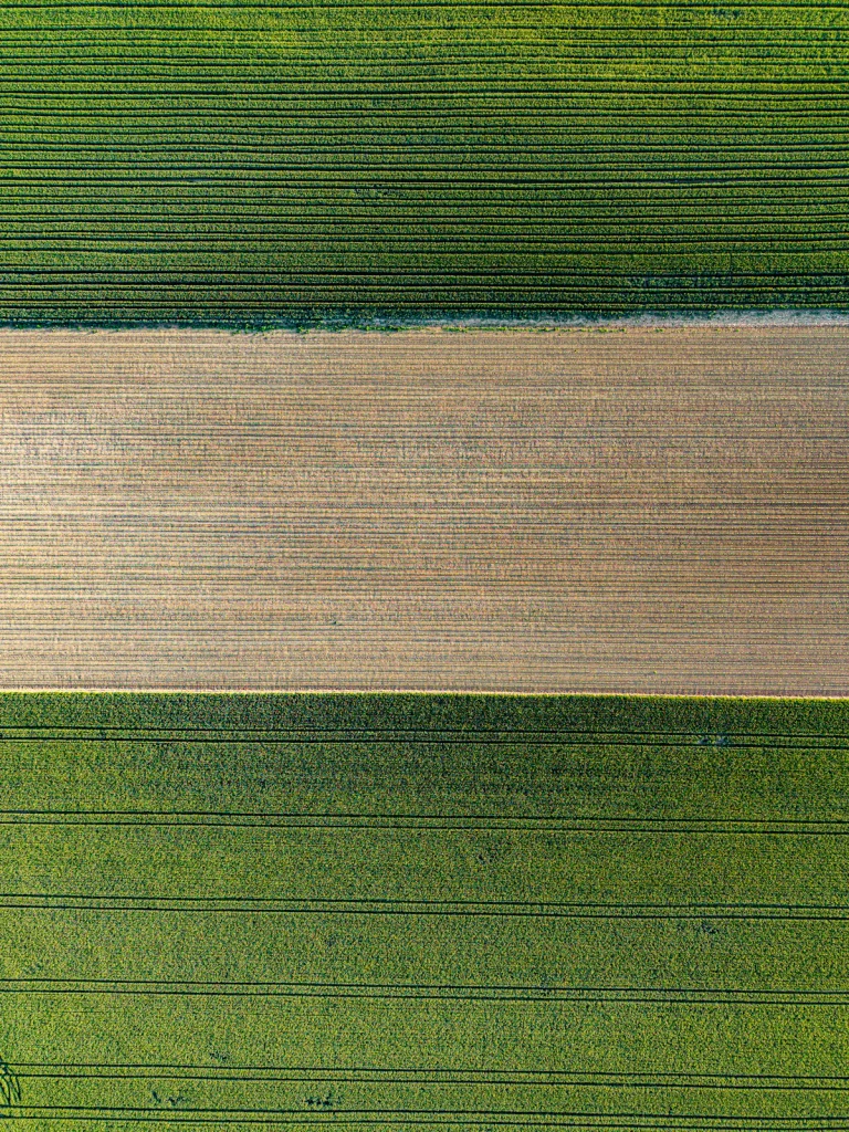 Aerial view of agricultural fields