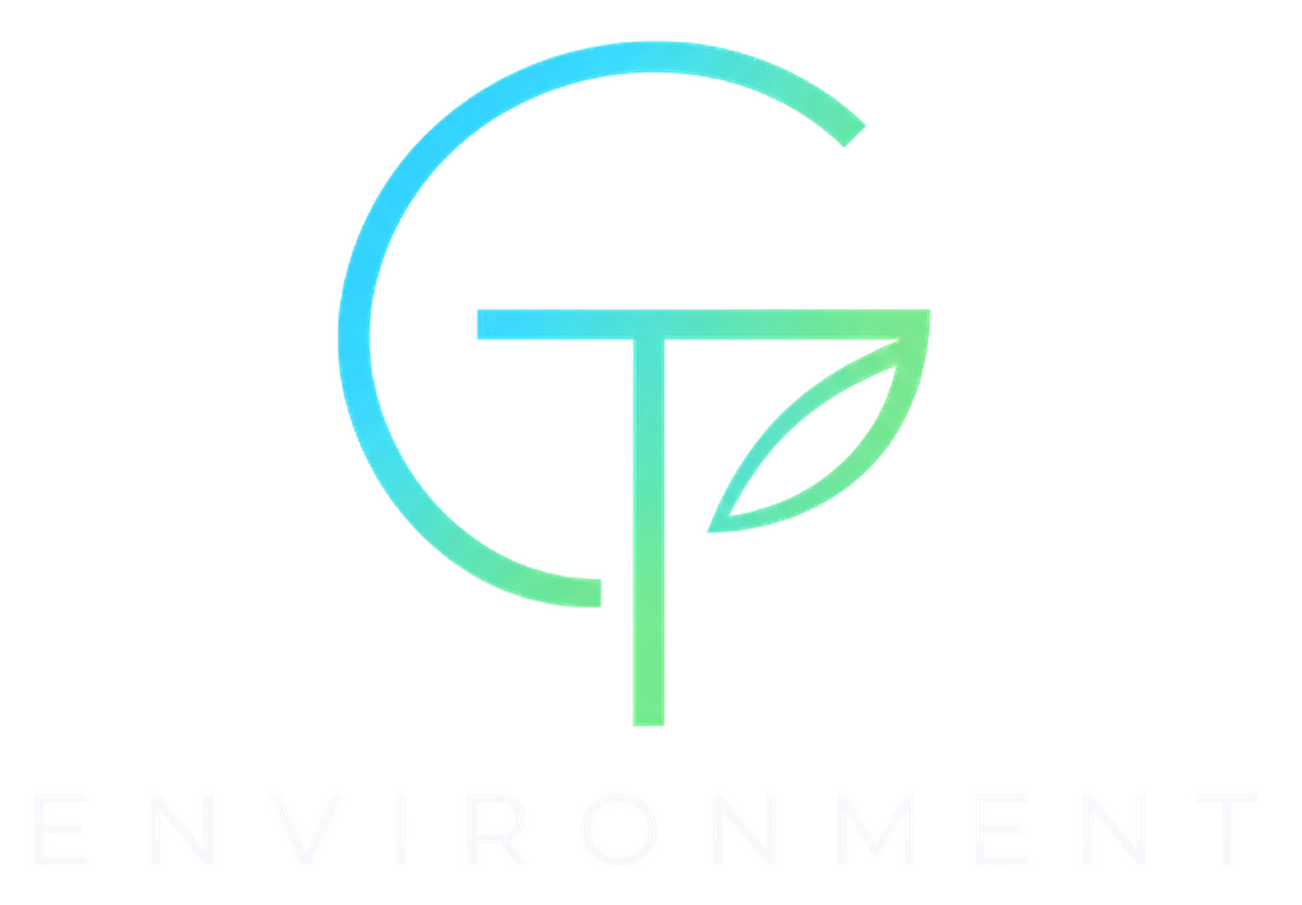 GT Environment