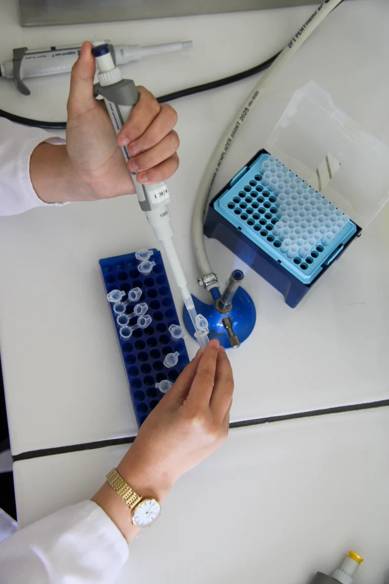 Laboratóriumi munka pipettával mikrotiter-lemezen