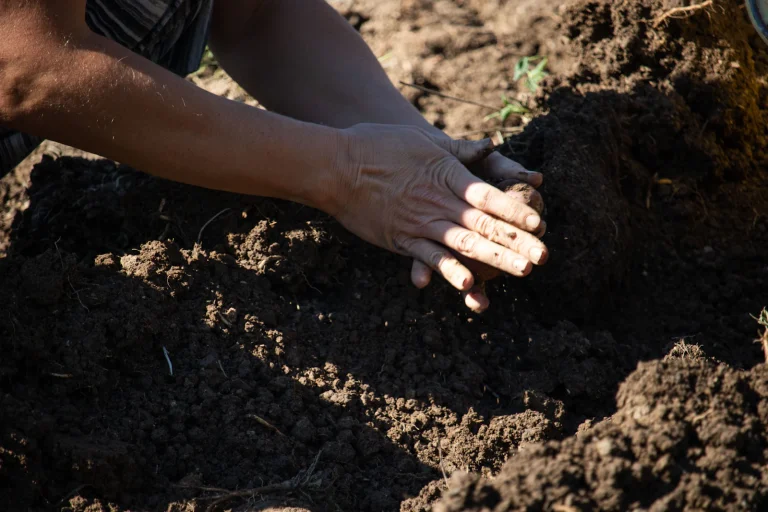 Sowing seeds into dark, fertile soil